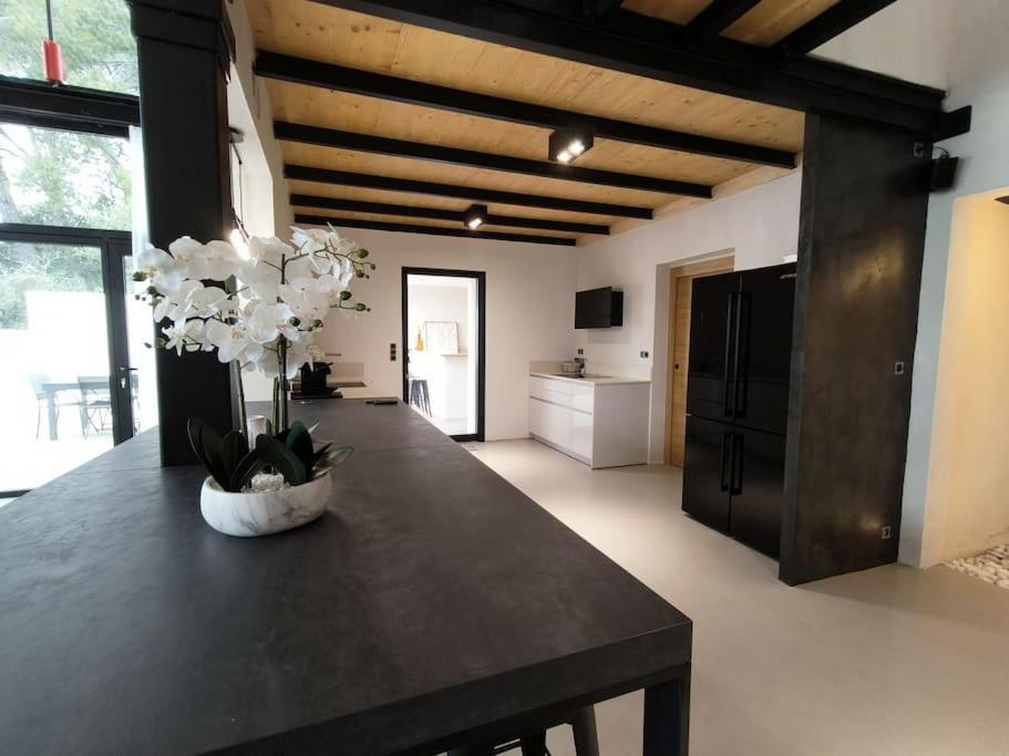Industrial Luxury Nimes & Arles Villa Beaucaire  Exteriör bild